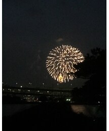 東京湾大華火祭 | その他