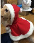 サンタさんの「その他(その他)」