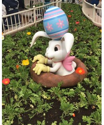 🐰💛 | その他