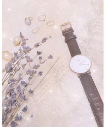 Daniel Wellington | アナログ腕時計