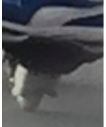 RANGS | スポーツグッズ