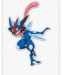 サトシゲッコウガ | その他