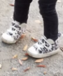 CONVERSE | スニーカー