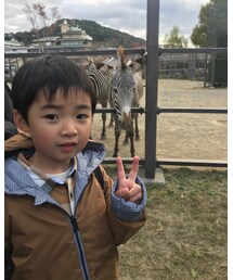 シマウマ近い笑 | その他