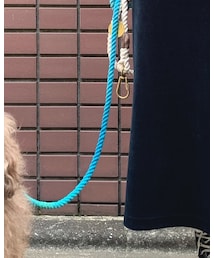 FOUND MY ANIMAL | その他