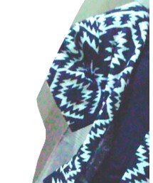 niko and... | ポンチョ