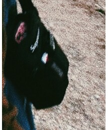 Supreme  | ショルダーバッグ