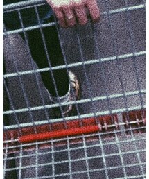 Dr. Martens | ブーツ