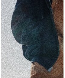 Carhartt | ジャケット/アウター