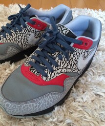 NIKE | air max premium(スニーカー)