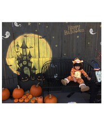 🐯👻💕 | その他