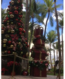 🎄 | その他