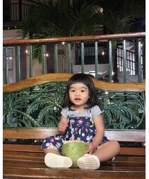 🥥 | その他