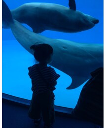 👧🏻🐬 | その他