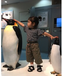 🐧👧🏻🐧 | その他
