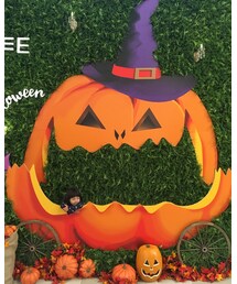 🎃 | その他