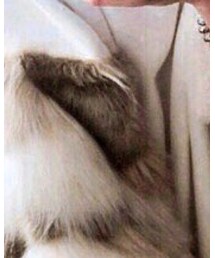 Ameri | スウェット