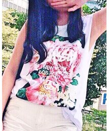 STUSSY | Tシャツ/カットソー