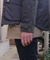 Inpaichthys kerri | その他アウター