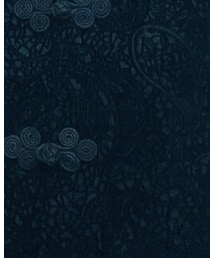 tricot COMME des GARCONS | シャツ/ブラウス