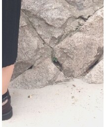 Dr. Martens | シューズ