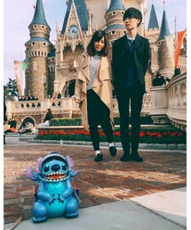 ディズニーランド | その他