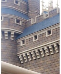 東京ディズニーランド | その他