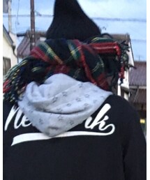 WEGO | マフラー
