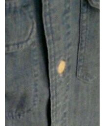 POLO RALPH LAUREN | トップス