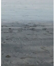 CONVERSE ALL STAR | その他シューズ