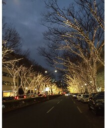 表参道イルミネーション | その他