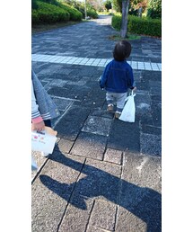 はじめてのおつかいでよく見る光景 | その他