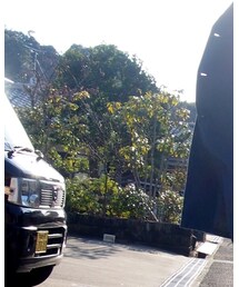 KBF | その他トップス