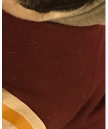 tb | スウェット