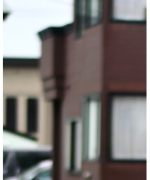 FLEX Japan | サングラス