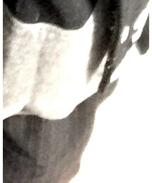 WEGO | スラックス