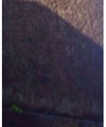 CAMINANDO | ドレスシューズ