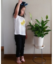 BeBe | Tシャツ/カットソー