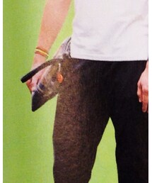 JOURNAL STANDARD relume | その他パンツ