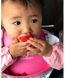 イチゴ買い🍓 | その他