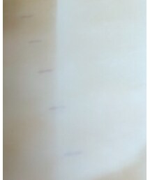 ANTIPAST | ソックス/靴下