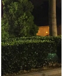 CALEE | ナイロンジャケット