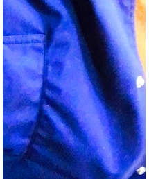 THE NORTH FACE PURPLE LABEL | ステンカラーコート