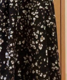 PLST | スカート