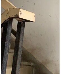 Champion | トップス