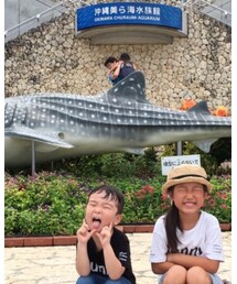 美ら海水族館 | その他