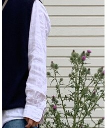 UNIQLO | シャツ/ブラウス