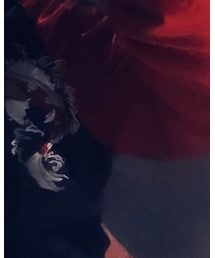 橫須賀 | スカジャン