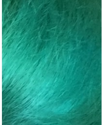 毒キノコ | その他