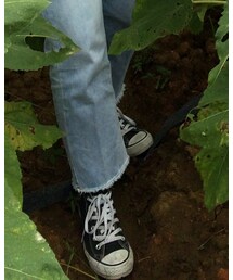 CONVERSE ALL STAR | スニーカー